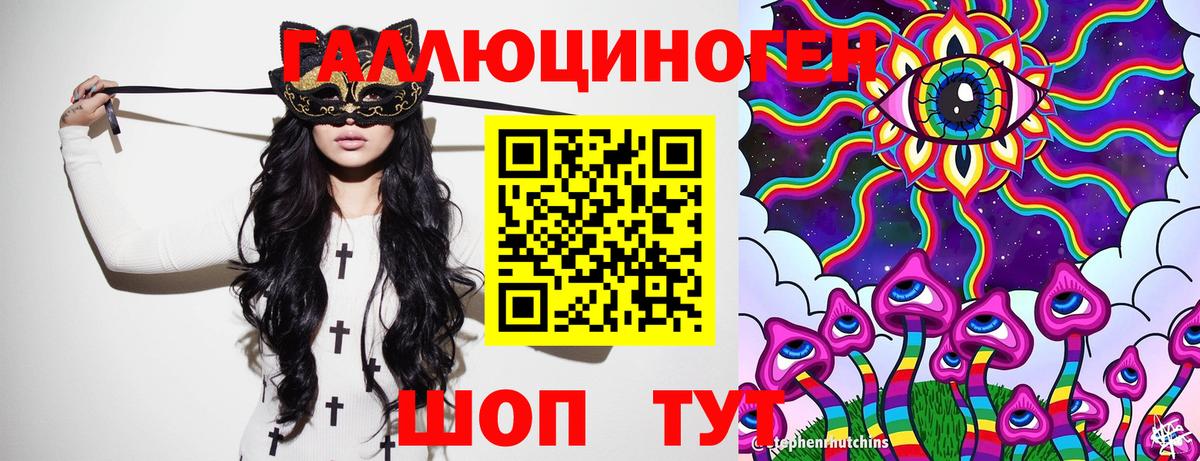 Галлюциногенные грибы Psilocybe Ялта